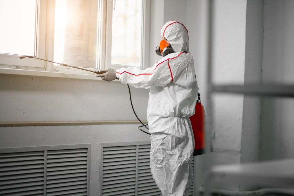 Professional mold remediation services in Wading River, NY